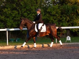 IMG_8003_web
